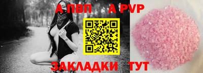 стафф Кингисепп