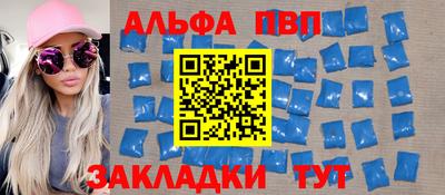 стафф Кингисепп