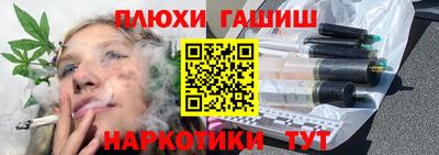 стафф Кингисепп