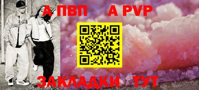 стафф Кингисепп