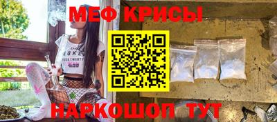 стафф Кингисепп