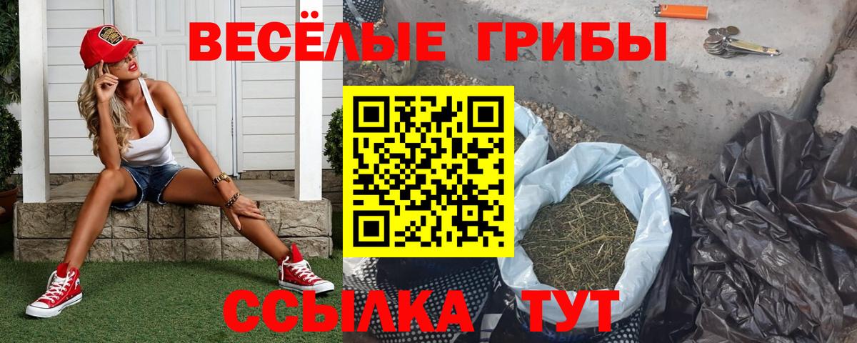 Галлюциногенные грибы GOLDEN TEACHER Армавир